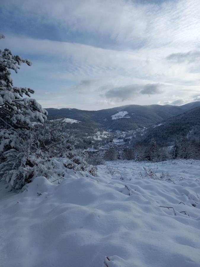 Le Gite Des Kritter Stosswihr Εξωτερικό φωτογραφία